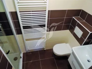 Pronájem bytu 1+kk, Plzeň, Školní, 36 m2