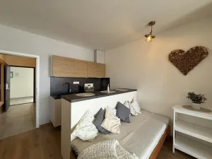 Prodej bytu 1+kk, Lipno nad Vltavou, 30 m2