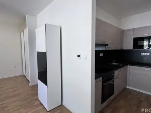 Pronájem bytu 1+kk, Dubňany, Hornická, 37 m2
