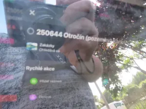 Dražba zahrady, Otročín, 265 m2