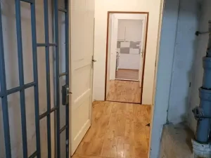 Prodej - jiné, Praha - Žižkov, Žerotínova, 53 m2