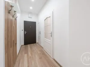 Pronájem bytu 1+kk, Bohumín - Nový Bohumín, Jana Palacha, 38 m2