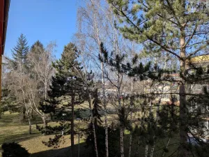 Prodej bytu 2+1, Duchcov, V Domkách, 60 m2