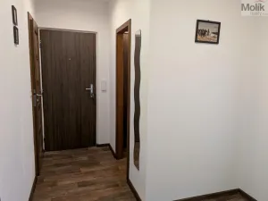 Prodej bytu 2+1, Duchcov, V Domkách, 60 m2