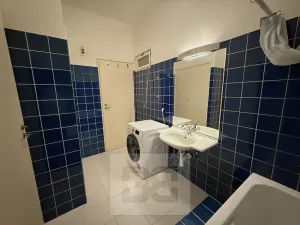 Pronájem bytu 4+kk, Praha - Vinohrady, Londýnská, 96 m2