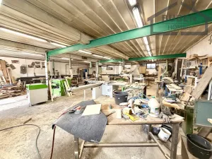 Prodej výrobních prostor, Tisová - Lhotka, 2767 m2