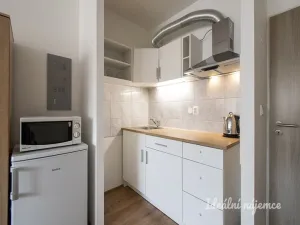 Pronájem bytu 1+kk, Praha - Troja, Hnězdenská, 25 m2