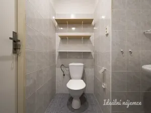 Pronájem bytu 1+kk, Praha - Troja, Hnězdenská, 25 m2