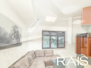 Prodej vícegeneračního domu, Hodonín, Muchova, 235 m2