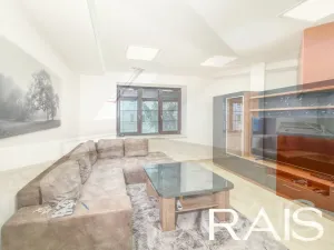 Prodej vícegeneračního domu, Hodonín, Muchova, 235 m2