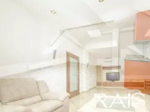 Prodej vícegeneračního domu, Hodonín, Muchova, 235 m2