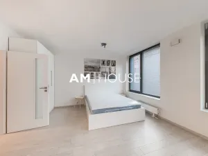 Pronájem bytu 1+kk, Praha - Karlín, Sokolovská, 40 m2