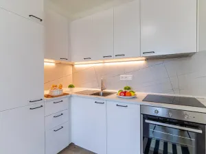Prodej bytu 3+kk, Mladá Boleslav, Jilemnického, 51 m2