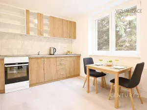 Pronájem bytu 2+kk, Litvínov, Horská, 42 m2