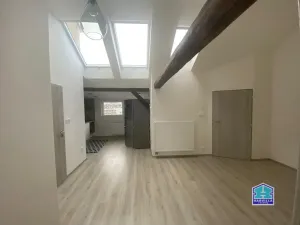 Pronájem bytu 2+kk, Plzeň - Východní Předměstí, Slovanská, 44 m2