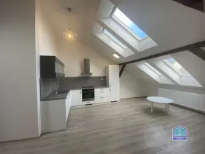 Pronájem bytu 2+kk, Plzeň - Východní Předměstí, Slovanská, 59 m2