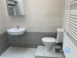 Pronájem bytu 2+kk, Plzeň - Východní Předměstí, Slovanská, 59 m2