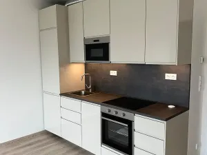 Pronájem bytu 2+kk, Praha - Holešovice, U Pergamenky, 54 m2