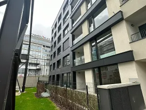 Pronájem bytu 2+kk, Praha - Holešovice, U Pergamenky, 54 m2