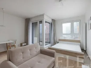 Pronájem bytu 1+kk, Praha - Žižkov, Olgy Havlové, 40 m2