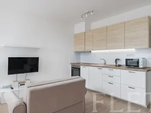 Pronájem bytu 1+kk, Praha - Žižkov, Olgy Havlové, 40 m2