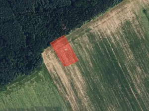 Prodej pole, Určice, 6204 m2