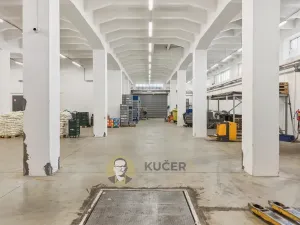 Prodej výrobních prostor, Kostelec nad Labem, Neratovická, 3457 m2