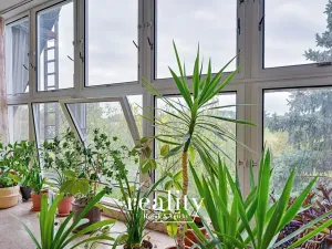 Prodej rodinného domu, Hodonice, 480 m2