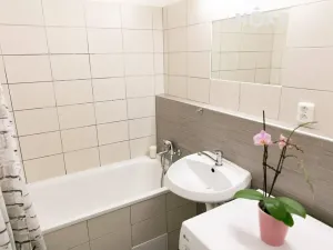 Pronájem bytu 1+kk, Zlín, U Trojáku, 27 m2