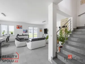 Prodej rodinného domu, Brandýsek, Nad Vodojemem, 196 m2