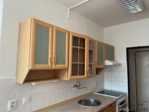 Pronájem bytu 2+1, Ústí nad Labem, U Pivovarské zahrady, 60 m2