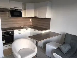 Pronájem bytu 2+kk, Praha - Nové Město, Opletalova, 45 m2