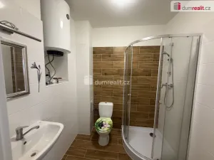 Pronájem bytu 2+1, Ústí nad Labem - Střekov, Purkyňova, 52 m2