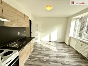 Pronájem bytu 2+kk, Ústí nad Labem, Purkyňova, 38 m2