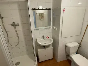Pronájem bytu 2+kk, Praha - Vinohrady, Pod Rapidem, 47 m2