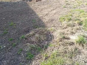 Prodej rodinného domu, Prostějov, Za Olomouckou, 130 m2