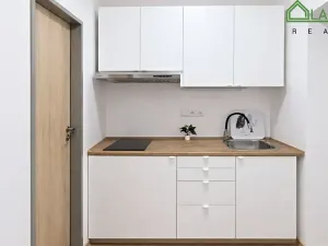 Pronájem bytu 1+kk, Brno, Francouzská, 25 m2