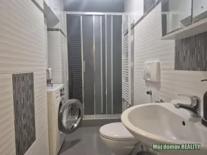 Pronájem bytu 1+kk, Brno - Zábrdovice, Francouzská, 60 m2