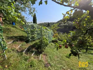 Prodej rodinného domu, Bělá pod Bezdězem, Táborová, 2050 m2
