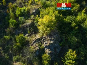 Prodej lesa, Lomnice, 7450 m2