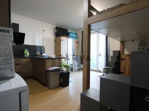 Prodej bytu 1+kk, Plzeň - Jižní Předměstí, Technická, 34 m2