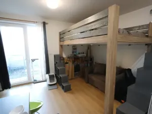 Prodej bytu 1+kk, Plzeň - Jižní Předměstí, Technická, 34 m2