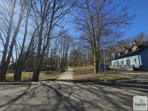 Pronájem bytu 1+kk, Milovice, 17 m2