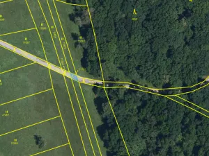 Prodej lesa, Břeclav - Charvátská Nová Ves, 58 m2