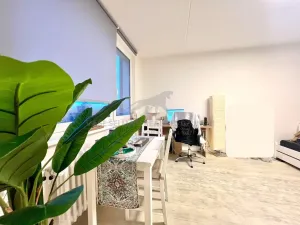 Pronájem bytu 1+kk, Praha - Chodov, Kunínova, 30 m2