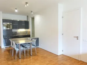 Pronájem bytu 2+kk, Praha - Žižkov, Prokopova, 62 m2