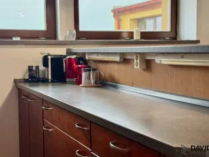 Pronájem bytu 1+kk, Brno - Veveří, Gorkého, 61 m2