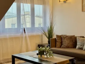 Pronájem bytu 1+kk, Brno - Veveří, Gorkého, 61 m2