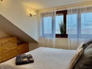 Pronájem bytu 1+kk, Brno - Veveří, Gorkého, 61 m2