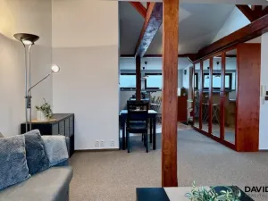 Pronájem bytu 1+kk, Brno - Veveří, Gorkého, 61 m2